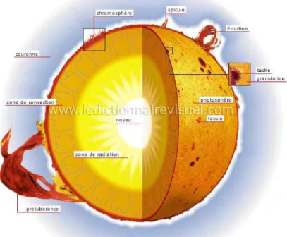 Fig. 1: Schéma représentant la vue en coupe de la structure interne du Soleil, (source : http ://www.ikonet.com/fr/ledictionnairevisuel/)