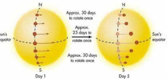 Fig. 4: Schéma représentant la rotation différentielle du Soleil