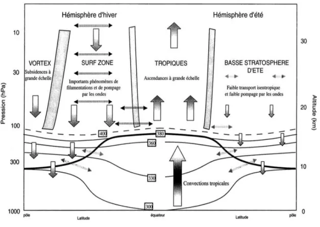 Fig. 7: Schéma du transport zonal et méridien de la haute troposphère et de la basse stratosphère