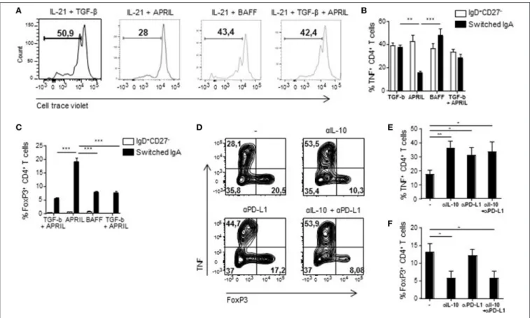 FIGURE 6 | APRIL-induced IgA + regulatory B cells suppress CD4 + T cell proliferation and TNF production, while stimulating the expansion of FoxP3 + CD4 + T cells.