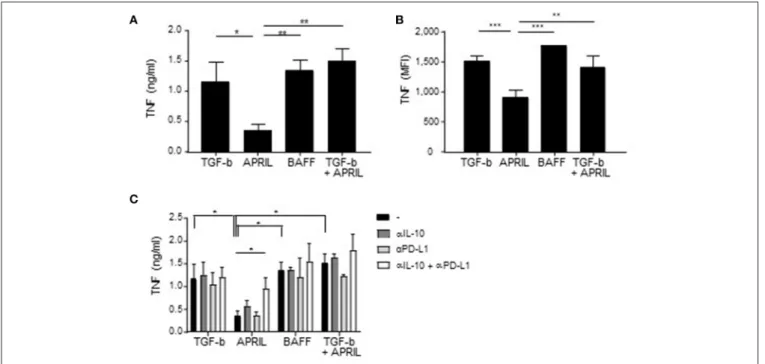 FIGURE 7 | APRIL-induced IgA + regulatory B cells suppress TNF production by GM-CSF macrophages