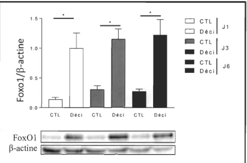 Figure 3.1  - -. 1.5  CJ  cn  1 CJ Déci  J 1 QJ -CTL 1 C 1.0 J3 +-' U ct! 1 --CTL Déci 1  J6 c:::l