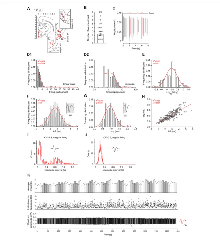 FIGURE 1 | Dataset acquired using in vivo extracellular recordings of ventral tegmental area (VTA) neurons in anesthetized rats