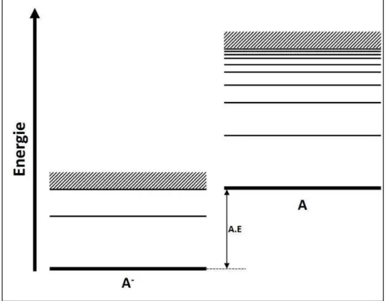 Figure  1.2 :  Schéma  des  iveau   e g ti ues  d’u   ato e  A  et  de  son  ion  négatif  A - 