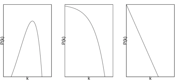 Figure 1.7: Node degree distributions P(k) in log-log scale. From left to right:
