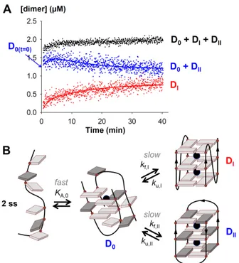 Figure 2: (A) Example of data fitting (single strand: d(TAGGGT) 2 , dimer formation in 60% 