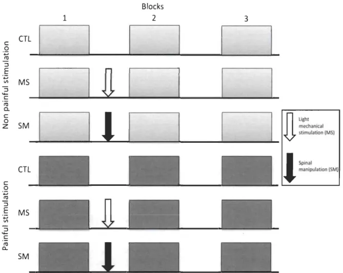 Fig  1.  A  within-subject  design  containing  six  counter-balanced  experimental  sessions  was  used  to  examine  how  spinal  manipulation  (SM)  and  light  mechanical  stimulation  (MS)  may  modulate  tactile  sensation  and  pain  induced  by  el