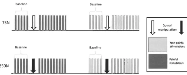 Fig  l  Experimental  paradigm. Each subject underwent 30 measurement times at one-minute interval  divided  into  2 conditions:  painful and non-painful stimuli