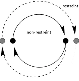 Fig. 3.1 - Le principe de la restriction