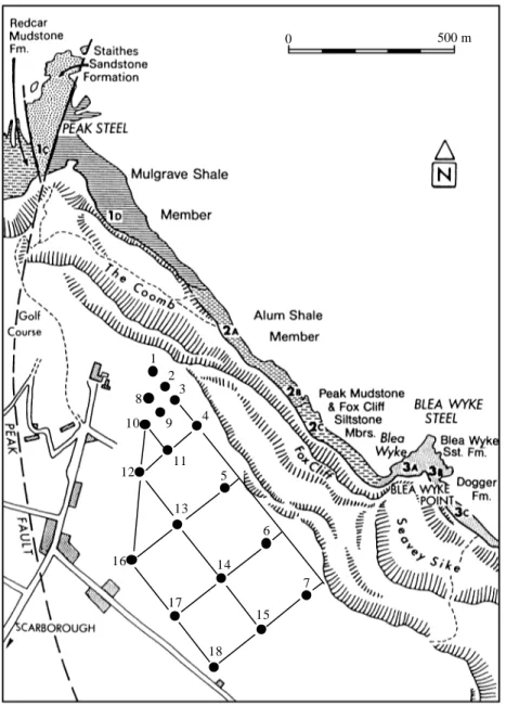 Figure II.6 : Disposition des sondages sur le site de Ravenscar (carte d’après Rawson &amp; Wright, 1992)