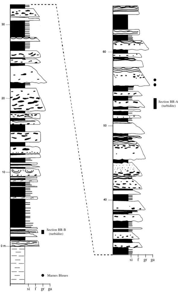 Figure II.14b : Echantillonnage sur la coupe de Braux (coupe d’après Hilton, 1995). Légende de granulométrie : si,