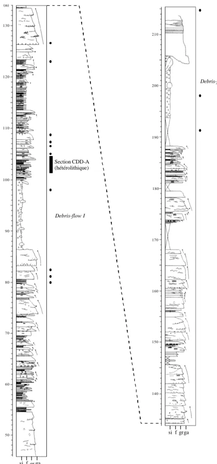Figure II.14c : Echantillonnage sur le site de Cime Dieu de Delfy (coupe d’après Joseph &amp; Ravenne, 1998).