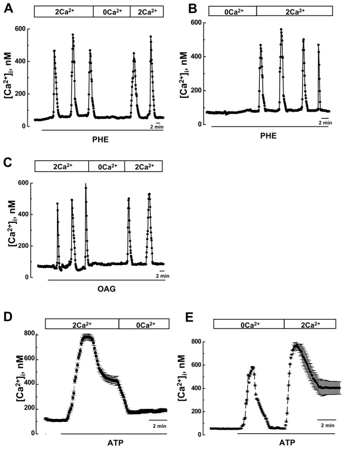Figure 1A PHE0200400600[Ca2+]i, nM