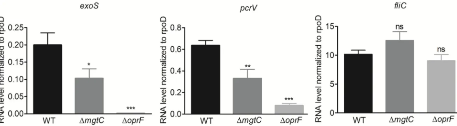 Fig 4. Expression of T3SS genes in P. aeruginosa strains residing in J774 macrophages