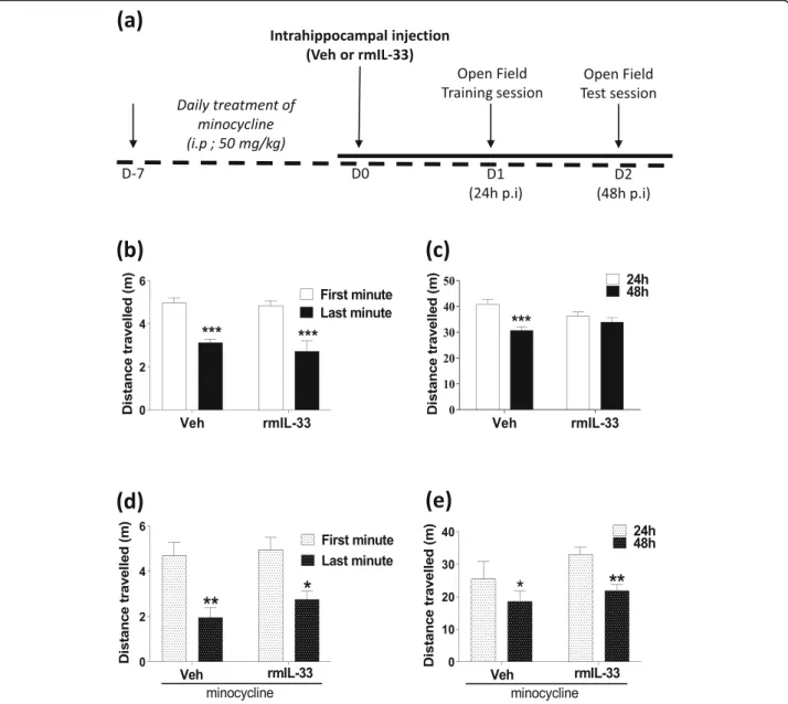 Fig. 1 Effect of hippocampal exogenous IL-33 associated with minocycline pre-treatment on spatial memory and habituation