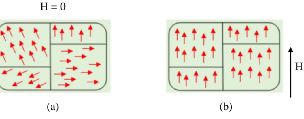 Figure  I.3  :  Domaines  magnétiques  dans  un  matériau  ferromagnétique  :  (a)  en  l'absence  de  champ  magnétique externe (b) en présence de champ magnétique externe