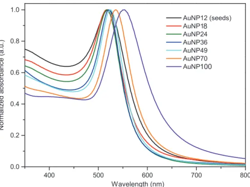 Figure S1: Normalized UV-visible absorption spectra of as-synthesized AuNPs in water (from 12 nm to 100 nm).