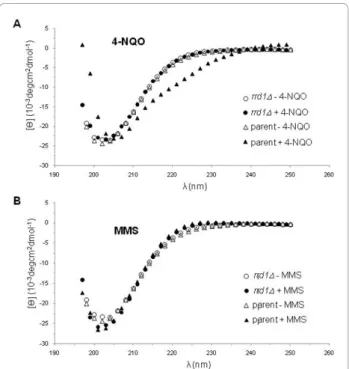 Figure 4 4-NQO, but not MMS, induces structural changes onto the GST-CTD. A and B) CD analysis of the purified GST-CTD derived from exponentially growing parent (triangle) and rrd1 Δ mutant (circle) that were untreated (opened symbol) or treated (closed sy
