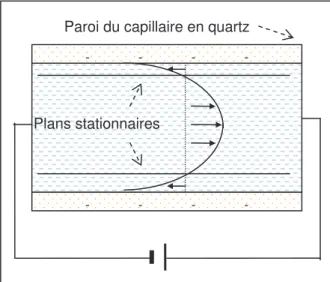 Figure 2-11 : Représentation schématique de la mesure du potentiel zêta des particules par électrophorèse  dans un capillaire en quartz