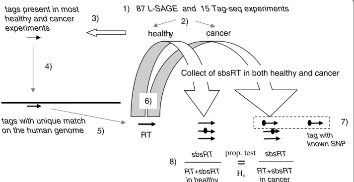 Figure 1 Bioinformatics workflow. 1) L-SAGE and Tag-seq experiments were processed separately 2) Experiments were divided in 2 groups, namely healthy and cancer 3) tags (thin black arrow) present in at least k% of healthy and at least k% of cancer experime