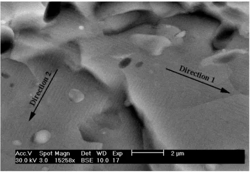 Figure II.8 : Image formée à partir des électrons rétrodiffusés obtenue par  microscopie électronique à balayage d’une céramique d’YBa 2 Cu 3 O 7-