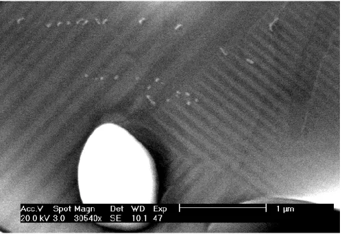 Figure II.13 : Image formée à partir des électrons secondaires obtenue par  microscopie électronique à balayage d’une céramique d’YBa 2 Cu 3 O 7-