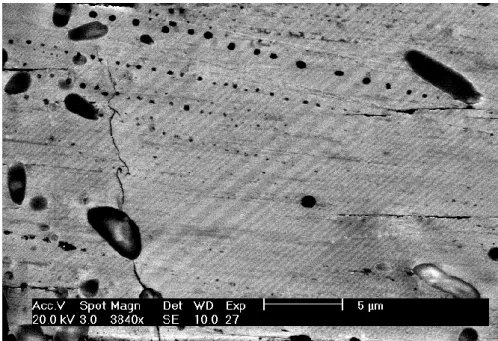 Figure II.14 : Image formée à partir des électrons secondaires obtenue par  microscopie électronique à balayage d’une surface (001) polie montrant les 