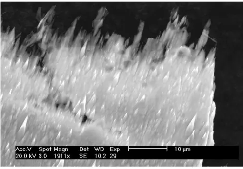 Figure II.17 : Image formée à partir des électrons secondaires obtenue par  microscopie électronique à balayage d’un échantillon après amincissement 