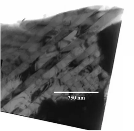 Figure II.18 : Image obtenue par microscopie électronique en transmission  d’un cristallite présentant des domaines maclés
