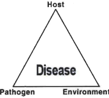 Fig.  1.1  Disease triangle. 