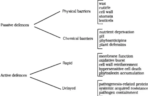Fig. 1.2  Outline of plant defence systems against different pathogens. 