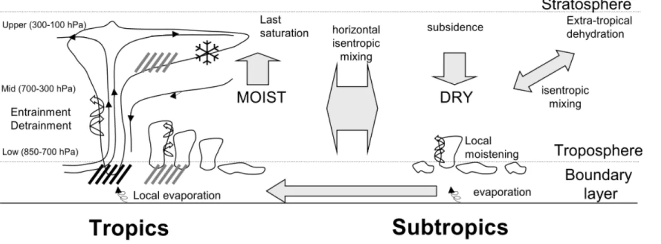 Figure 1.9 – Sch´ ema de la circulation de la circulation m´ eridienne et des m´ ecanismes de contrˆ ole de la distribution de l’humidit´ e dans les r´ egions tropicales et subtropicales