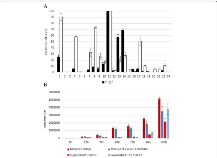 Fig. 6 a Difference in the expression of TFV-encoded miRNAs between infected HepG2 (Group H) and ZF4 (Group Z) cells