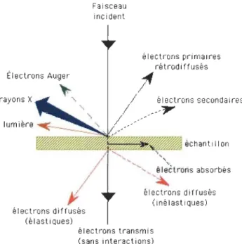 Figure 4.3  Électrons  Auger rayons  xl--&#34; lumière  &#34;  &#34; électrons diffusés (é lasti Ques)  Faisceau incident  électrons  primaires rétrod i ffusés .' 