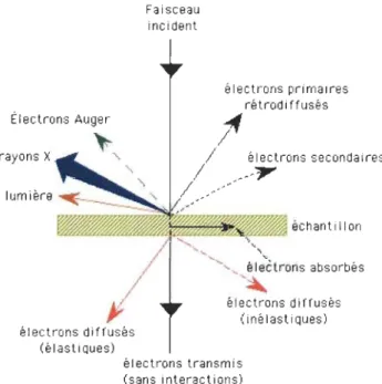 Figure 4.3  Électrons  Auger rayons  xl--" lumière  "  " électrons diffusés (é lasti Ques)  Faisceau incident  électrons  primaires rétrod i ffusés .' 