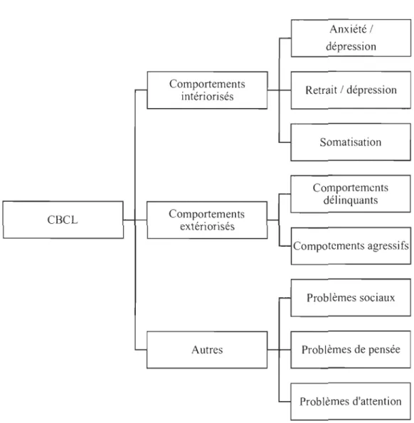Figure 1. Structure du  CBCL. 