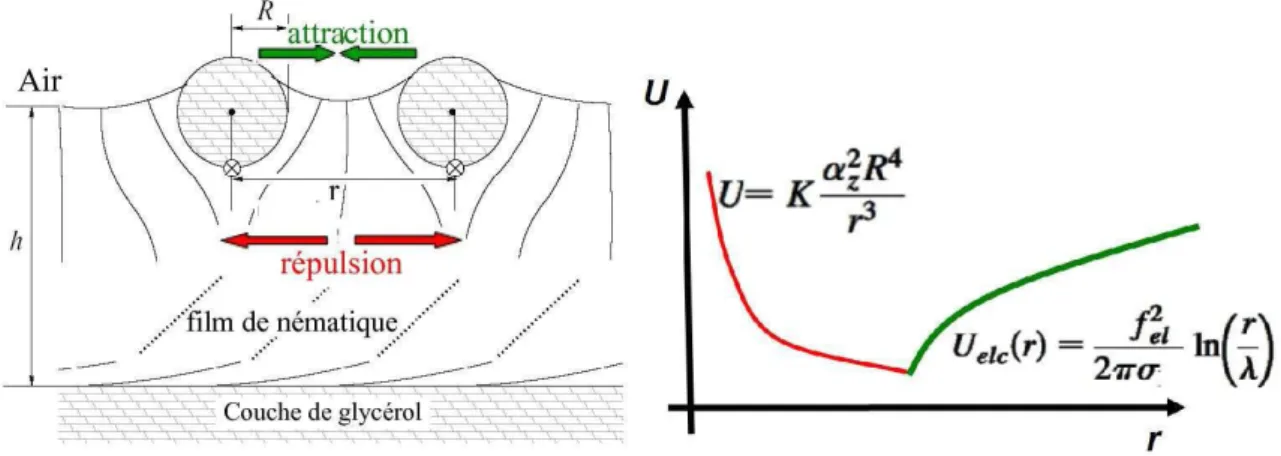 Figure 2.11 – Allure du potentiel de paire effectif responsable de la formation de structures hexagonales, d´eduit `a partir de la r´ef´erence [66].