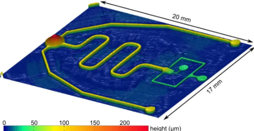 Figure 2.3: 3D profile of the mold. The heigth of the central channel is 80µm and its width is 300µm 