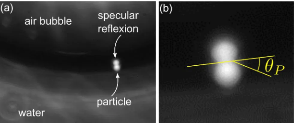 Figure 3.5: (a) Image of a single 4.5 µm particle adsorbed on an air-water interface.