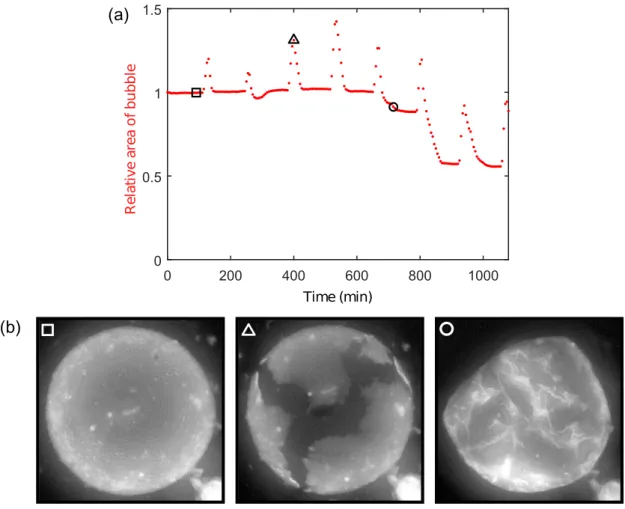 Figure 3.12: (a) Time evolution of the projected area of the armor submitted to the pressure profile presented in 3.11