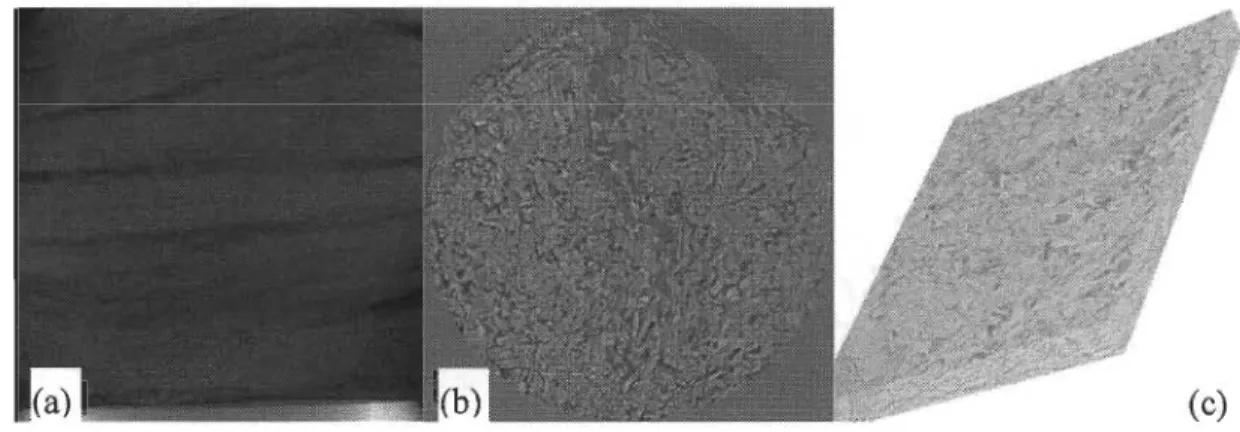 Figure 3-8  Différentes étapes de l'acquisition et de la  reconstruction d'images tomographiques 