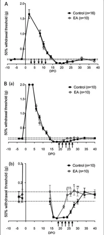 Figure 2 Analysis of heat sensitivity recovery. (A) Time for recovery of sensitivity to a heat stimulus