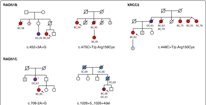 Figure 3 Pedigrees for RAD51 paralog mutation and likely causal variant carriers. Individuals with breast cancer (BC) are shown as red circles, ovarian cancer (OC) as purple circles, and other cancers as blue circles