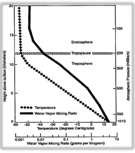 Figure 8 : La distribution verticale de la vapeur d'eau et de la température dans la  troposphère et la stratosphère