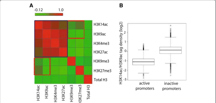 Figure 5 H3K9ac and H3K14ac associate with active as well as bivalent promoters. (A) Heatmap of the signal density using k-means clustering observed on 27095 mouse refseq promoters (-/+5 kb) for H3K9ac and H3K14ac along with H3K4me3 and H3K27me3 (hallmark 