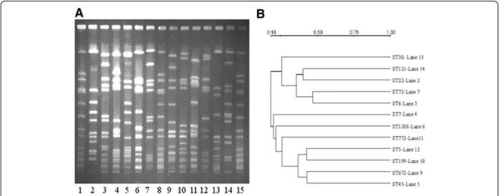 Table 2 represents the PCR and microarray data for all MRSA (A) and representative carrier and disease isolates belonging to SCCmec type IV and V (B and C)  respect-ively