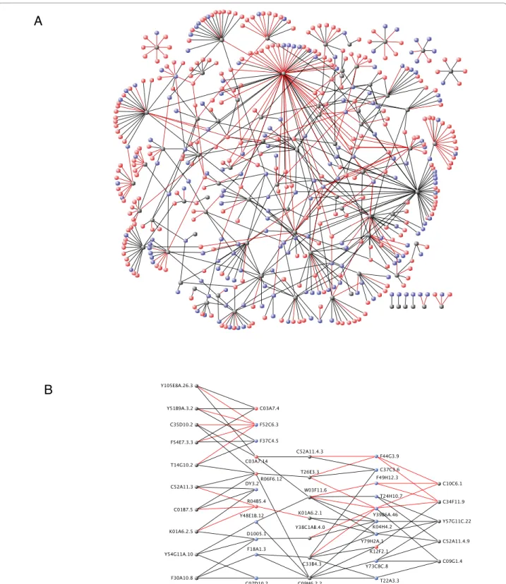Figure 1 Yeast two-hybrid interactome maps of PDZ domain interactions. Grey nodes represent individual PDZ domains, blue nodes represent interacting proteins having a C-terminal consensus sequence (as defined in Additional file 1) and red nodes represent i