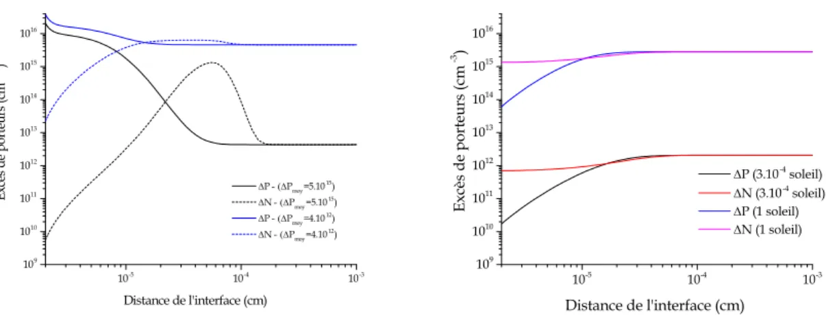 Figure 3.2.1 – Concentration de porteurs dans c-Si en fonction de la distance à l’interface dans une structure PIn (a) et NIn (b).