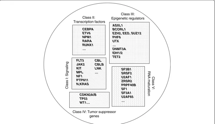 Figure 2 Schematic representation of five classes of leukemogenic genes. ERs (class III) can be subdivided into two subclasses (DNA methylation-associated and histone-associated).