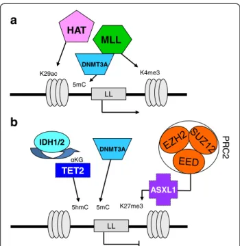 Figure 3 Schematic representation of epigenetic regulation of a leukemogenic locus (LL) framed by histone H3
